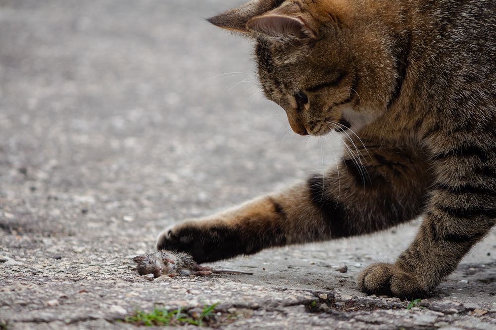 Photograph by Alexander Nosov