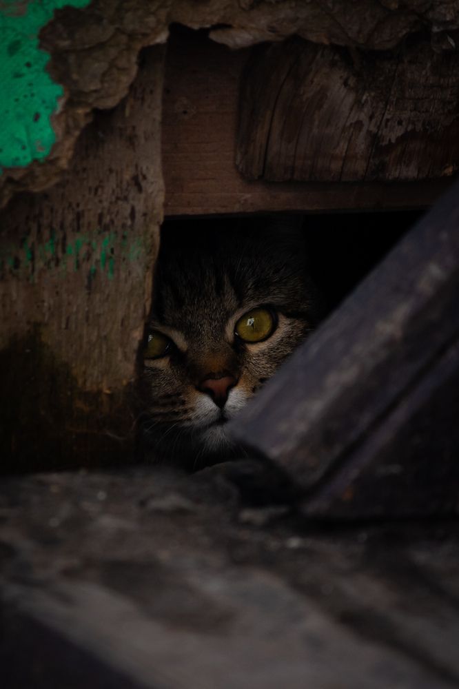 Photograph by Alexander Nosov