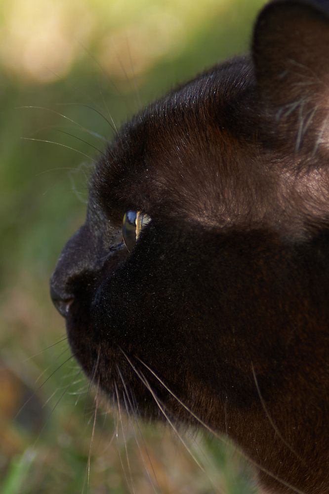 Photograph by Гюзель Даугуль