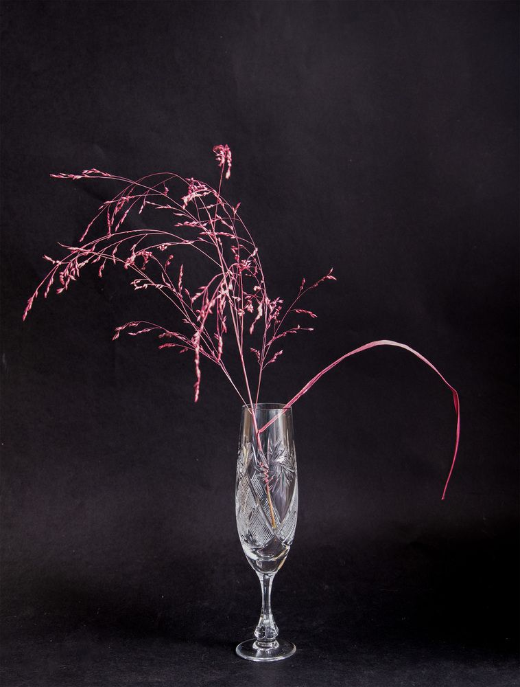 Photograph by ILONA KILA