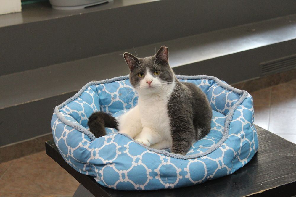 Photograph by Виталий