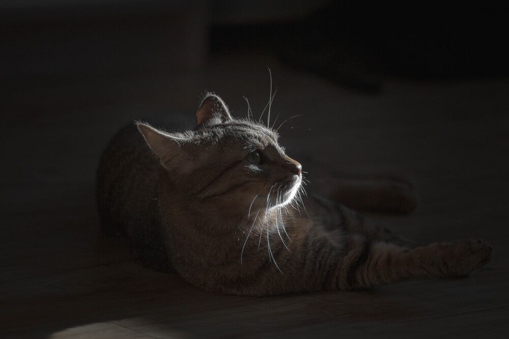 Photograph by Александр Салякаев