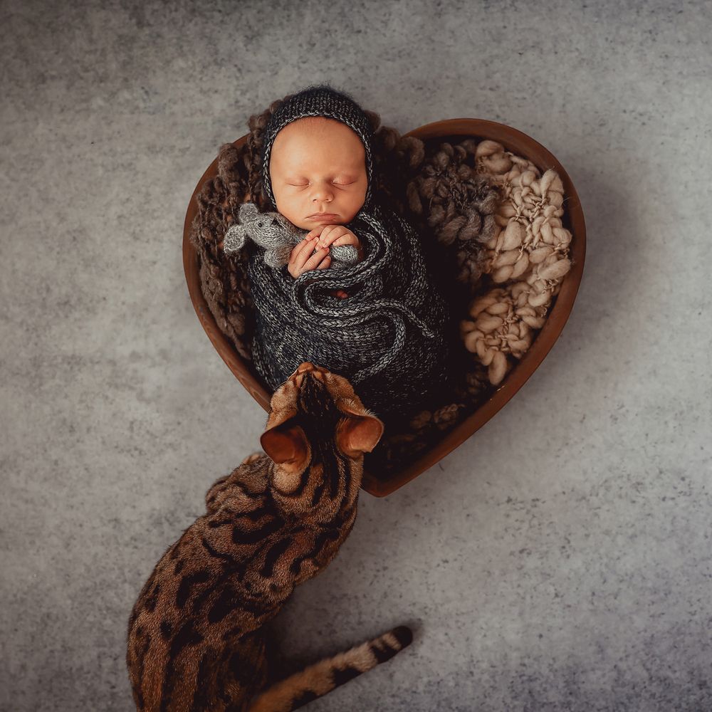 Photograph by Ekaterina Elikstratova