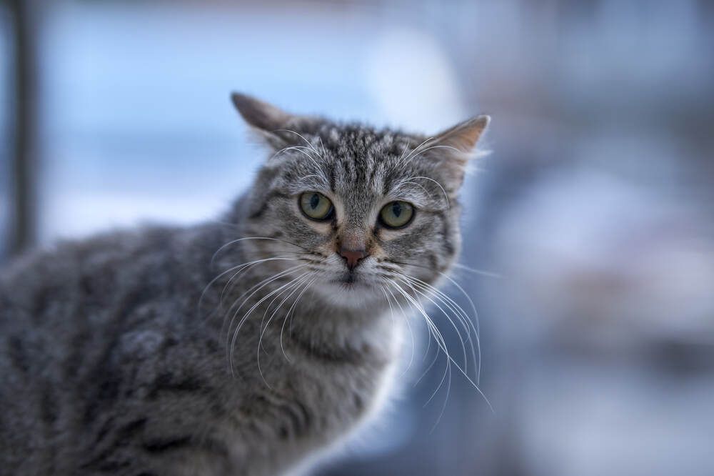 Photograph by Максим Карпович