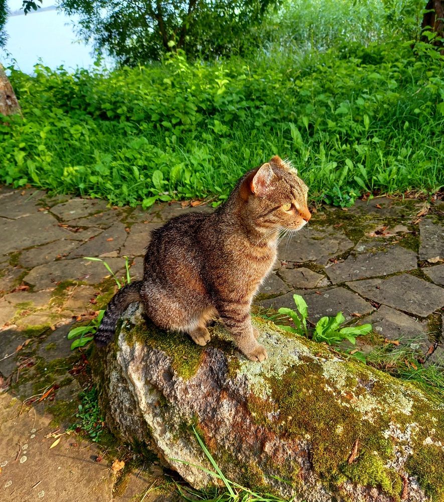 Photograph by Ольга Юрченко