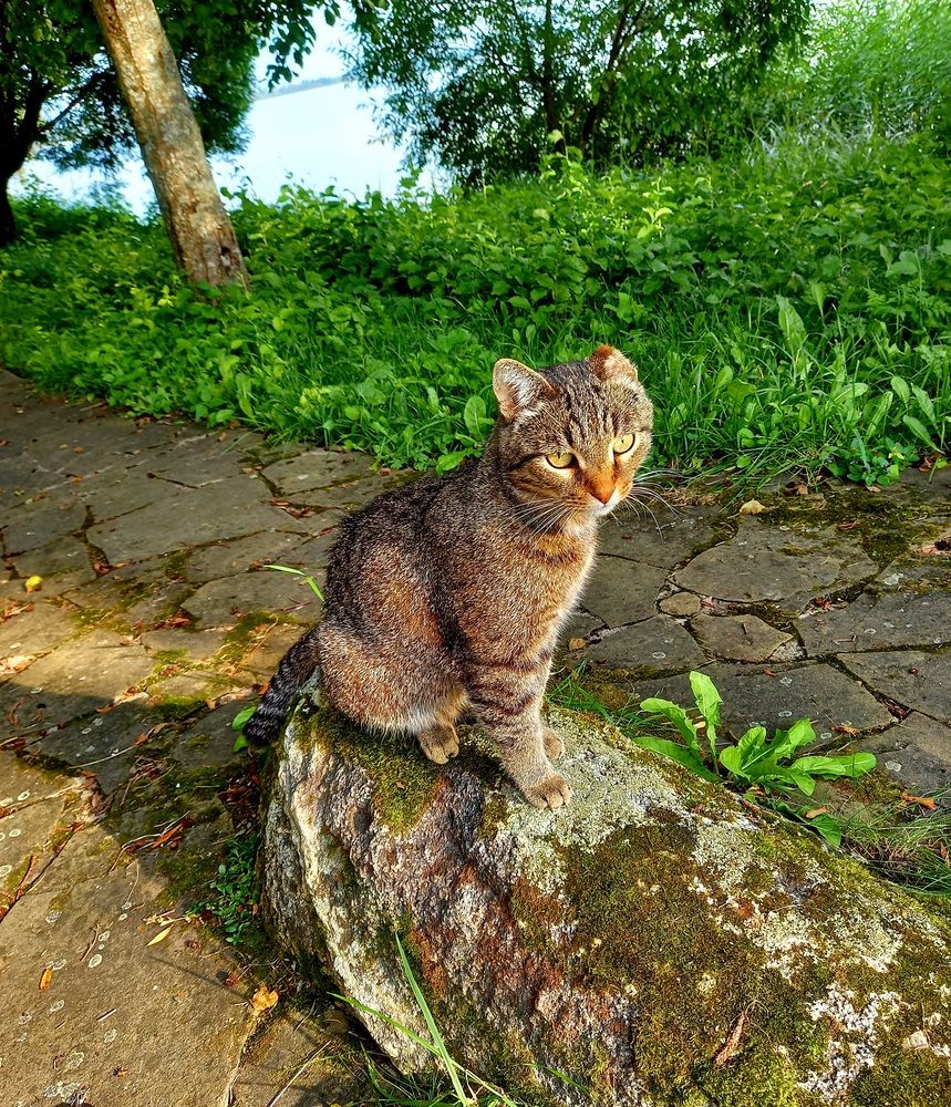 Photograph by Ольга Юрченко