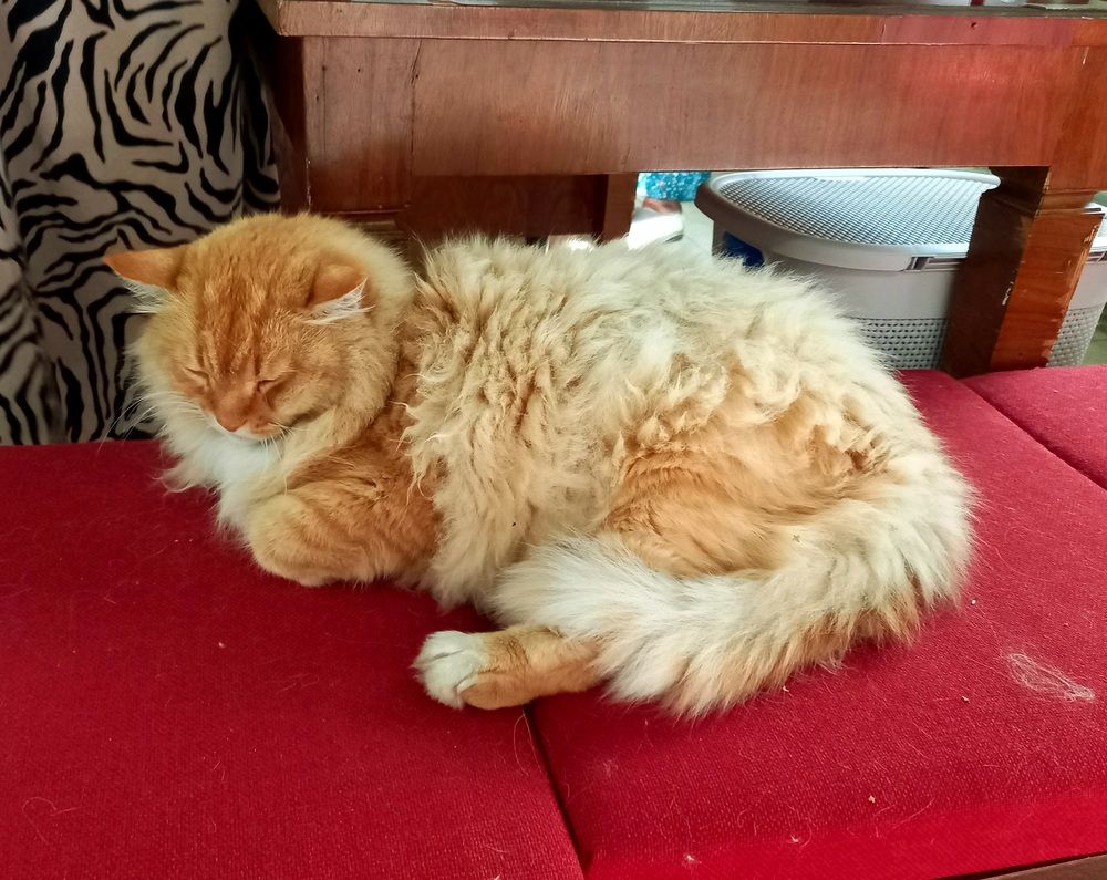 Photograph by Ольга Юрченко