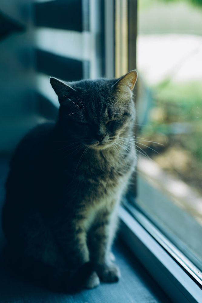 Photograph by Ирина Шестопалова