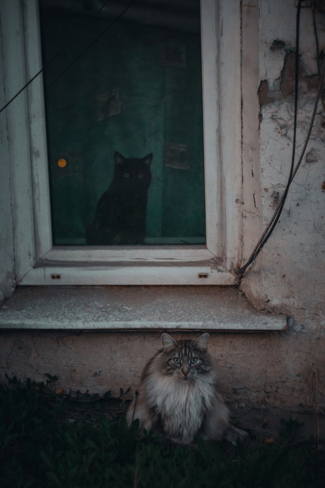 Photograph by Дмитрий Будылин