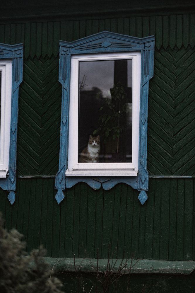 Photograph by Дмитрий Будылин