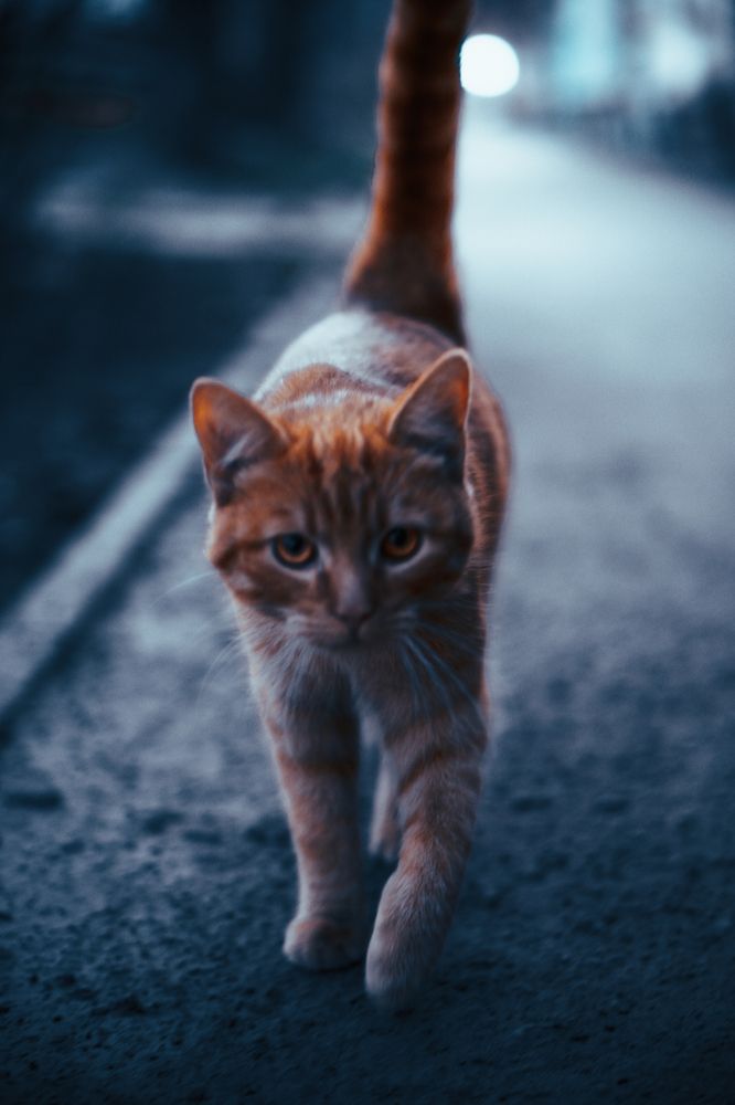 Photograph by Дмитрий Будылин