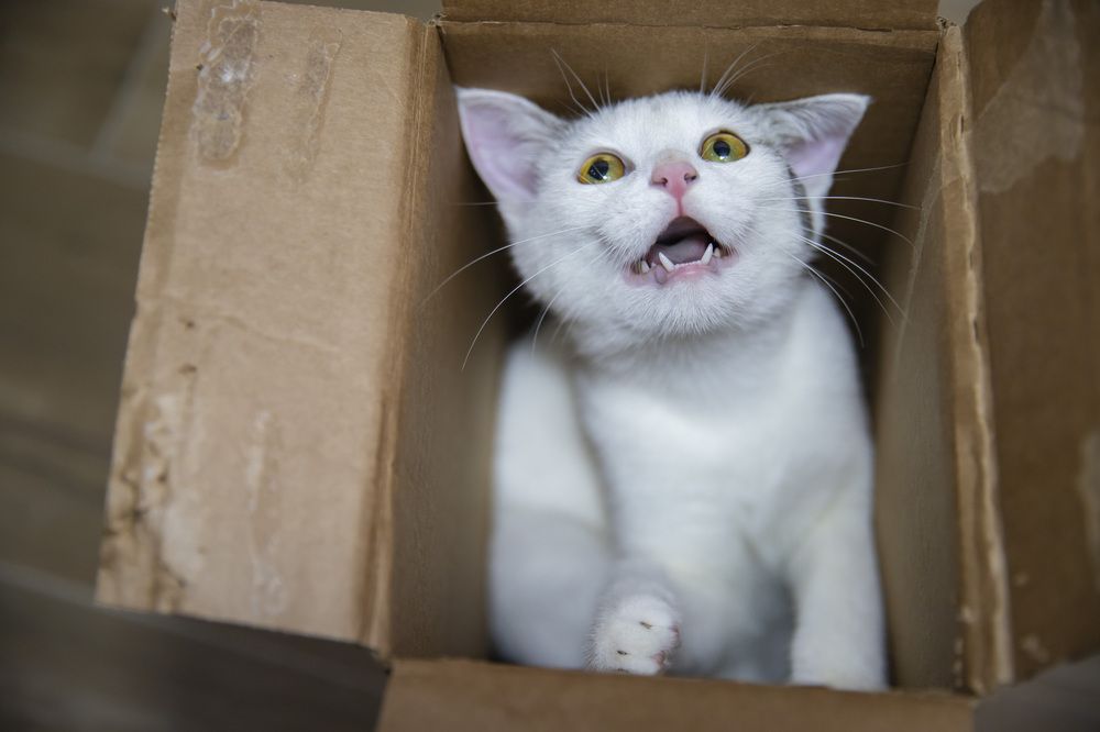 Photograph by Александр Парфенов