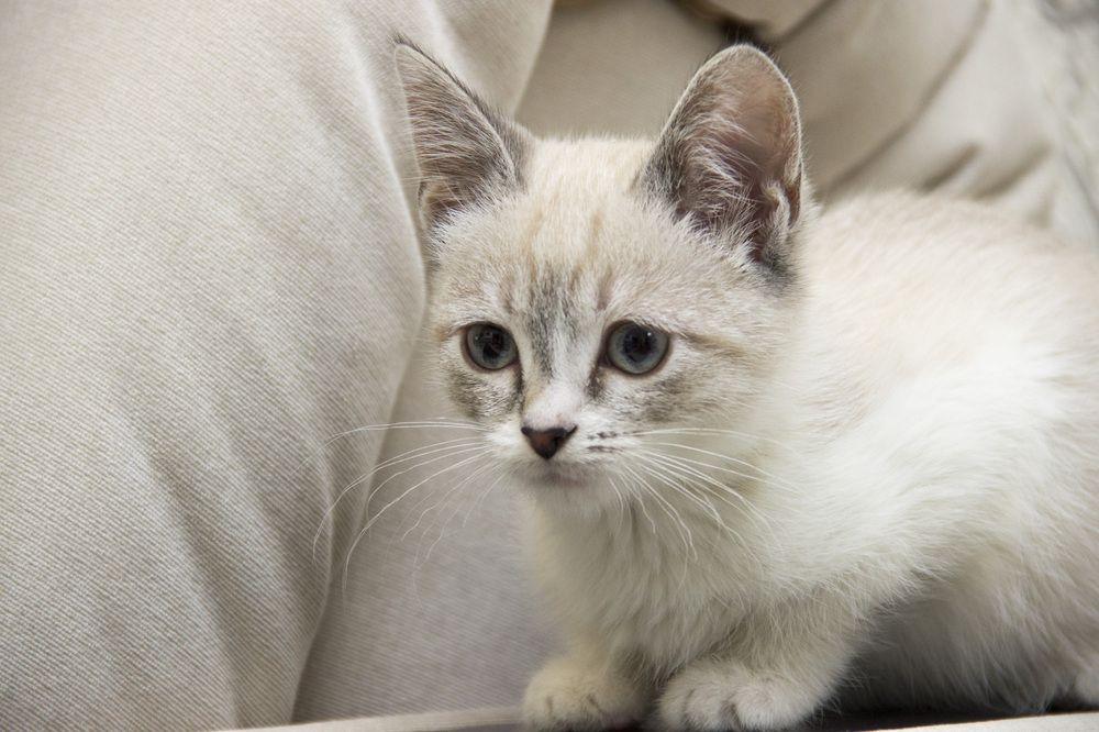 Photograph by Александр Парфенов