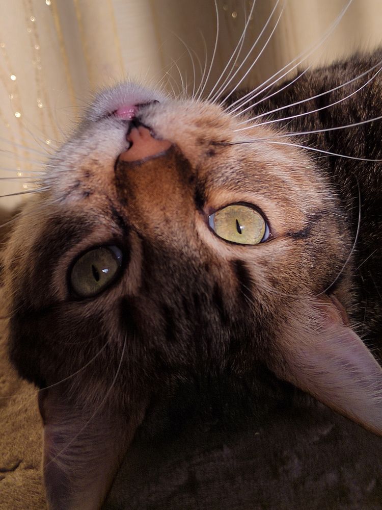 Photograph by Наталья Горовых