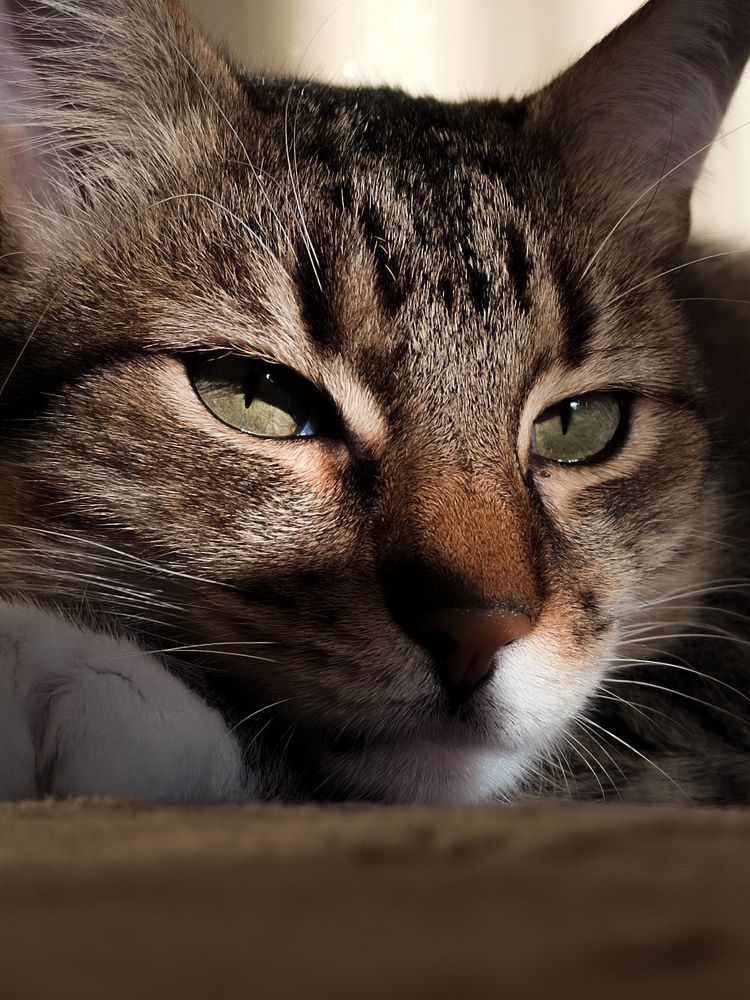 Photograph by Наталья Горовых