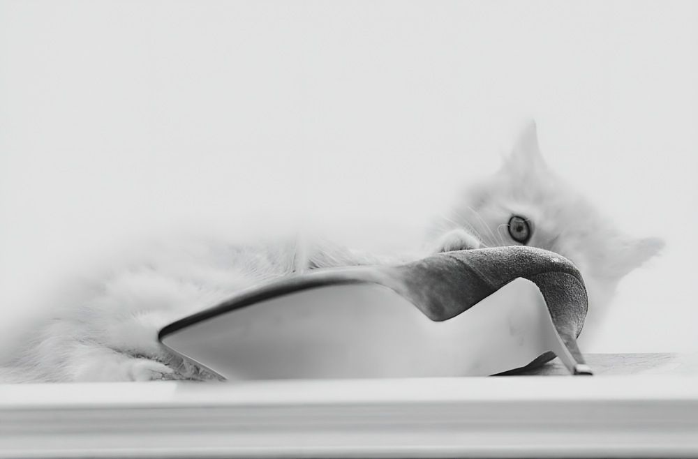 Photograph by Veli Aydoğdu