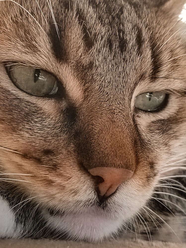 Photograph by Наталья Горовых