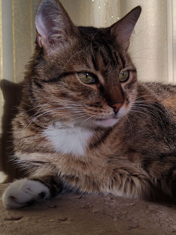 Photograph by Наталья Горовых