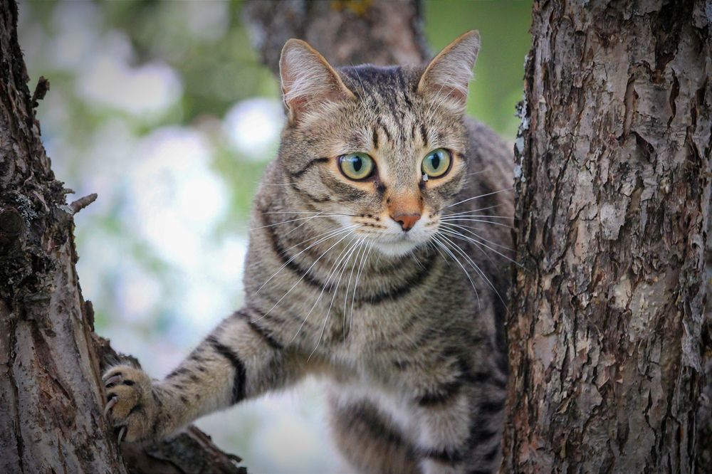 Фотография автора Ser P