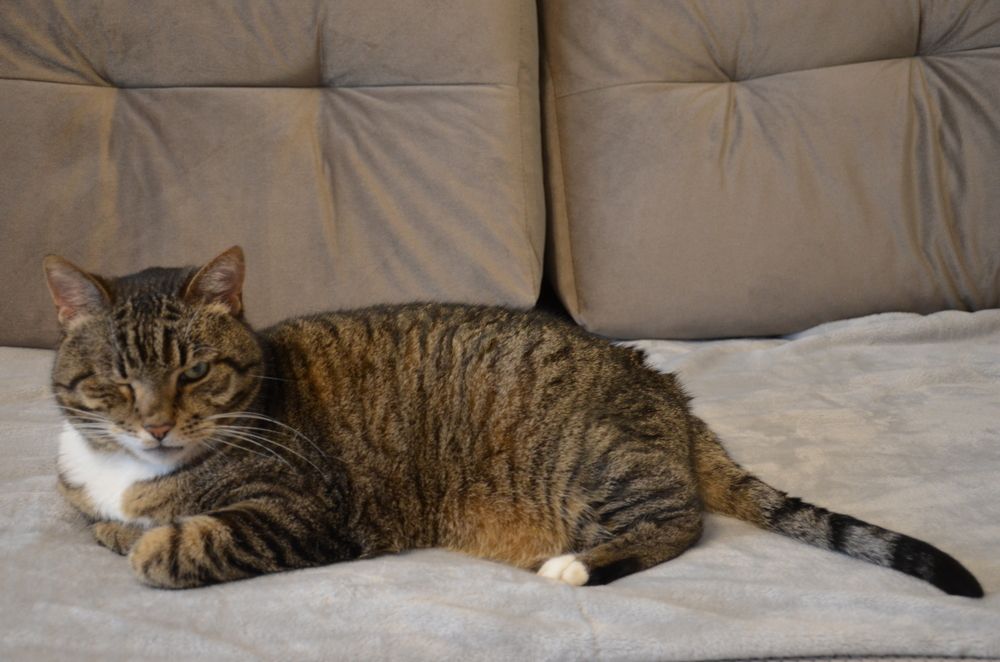 Photograph by Надежда Каравайцева