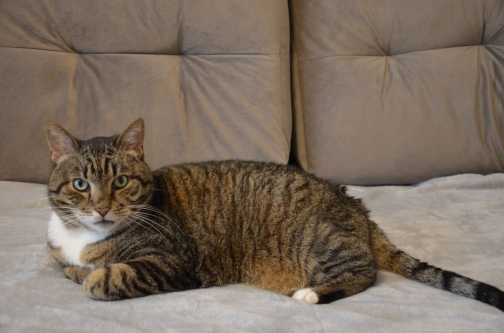 Photograph by Надежда Каравайцева