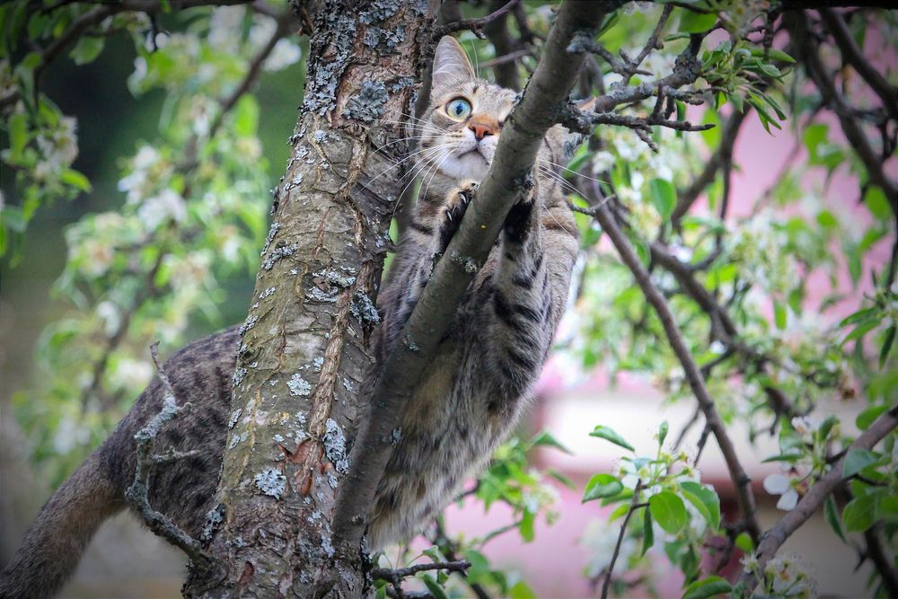 Фотография автора Ser P