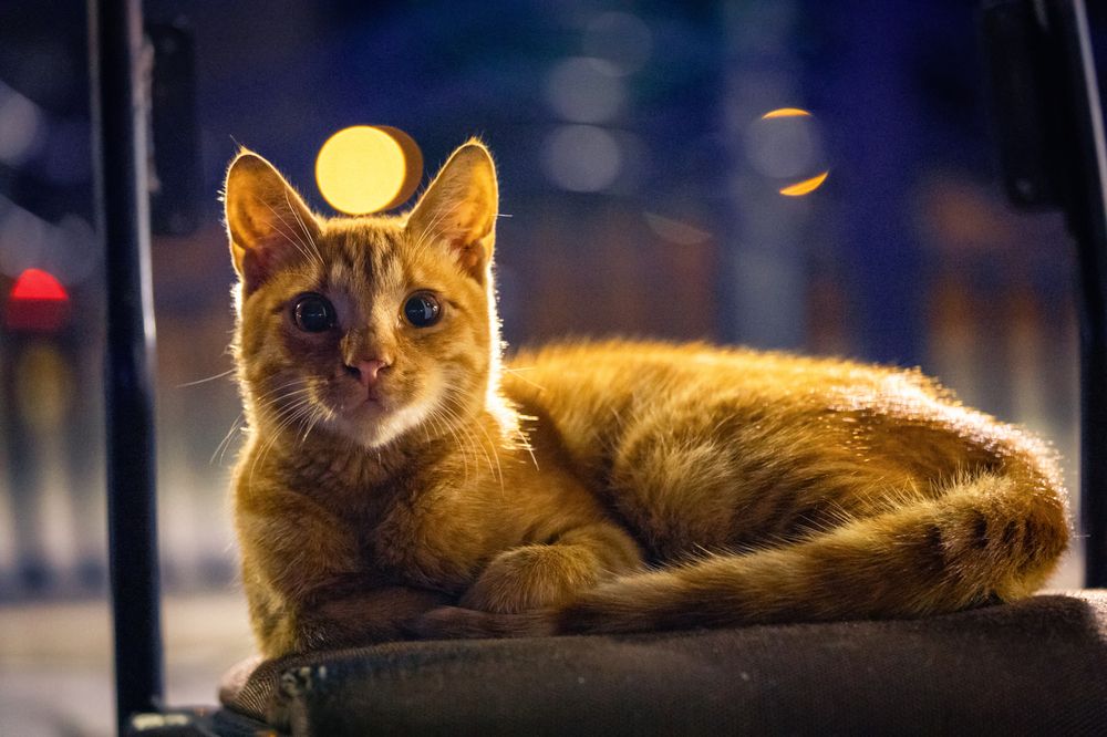 Photograph by Siarhei Saladukhin