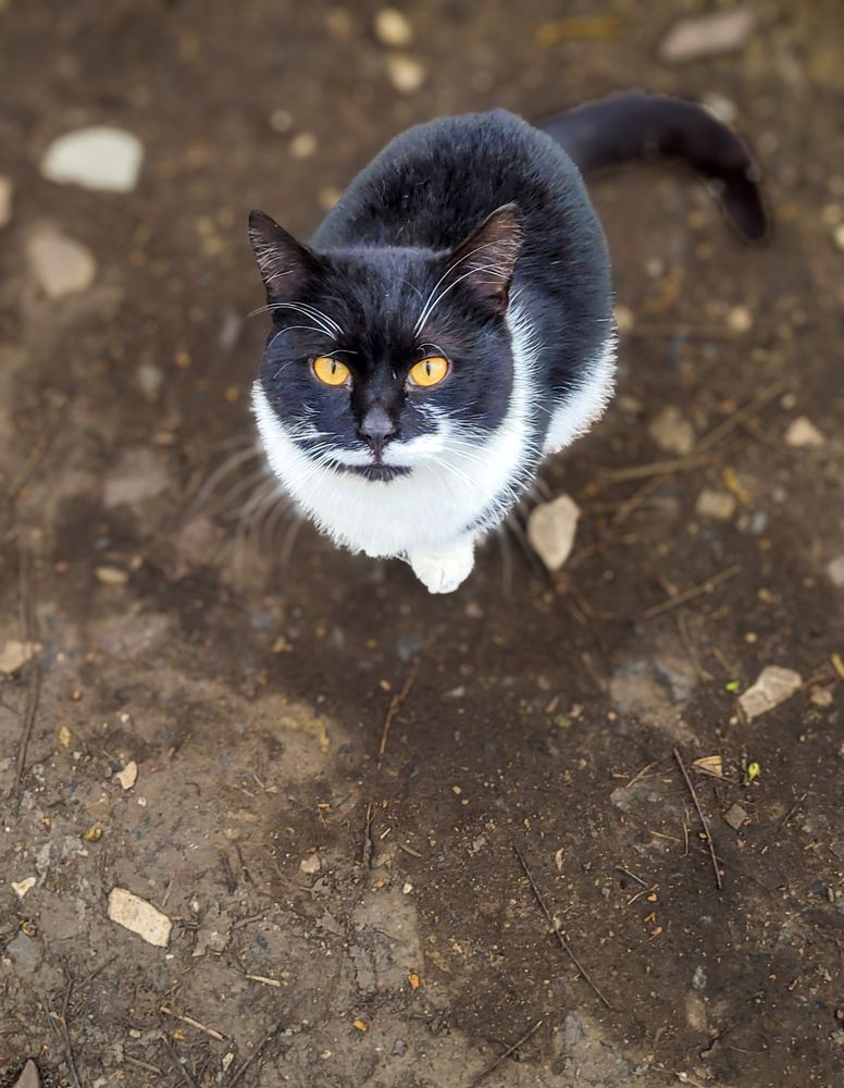 Photograph by Алексей Горин