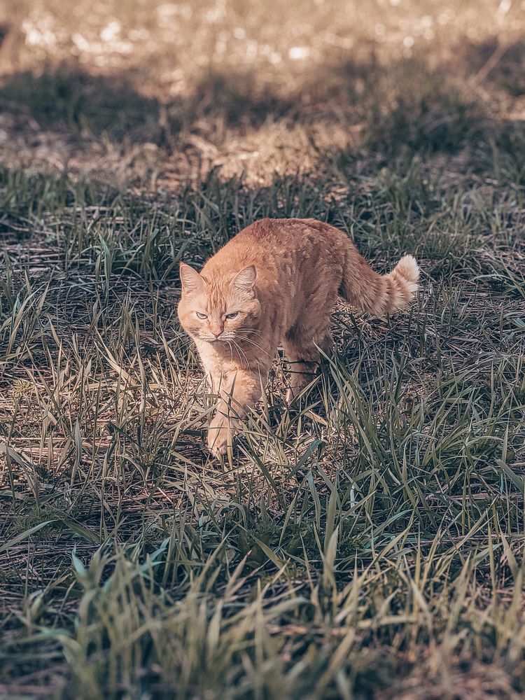 Photograph by Алексей Горин