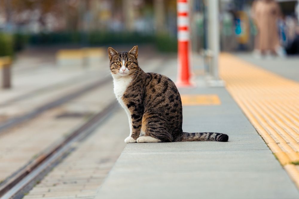 Photograph by Siarhei Saladukhin