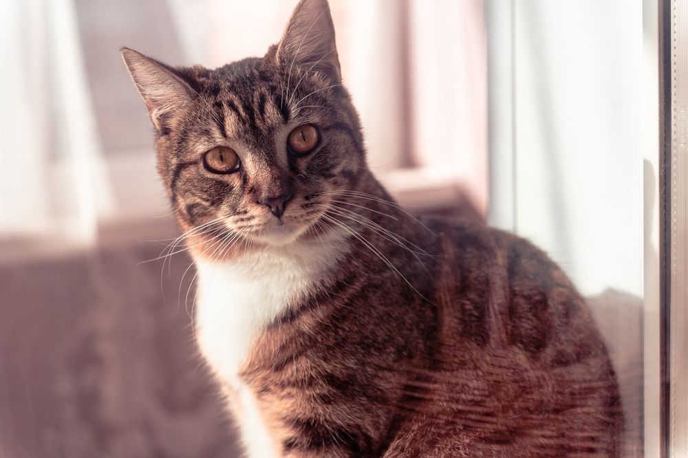 Фотография автора Дмитрий Себрин