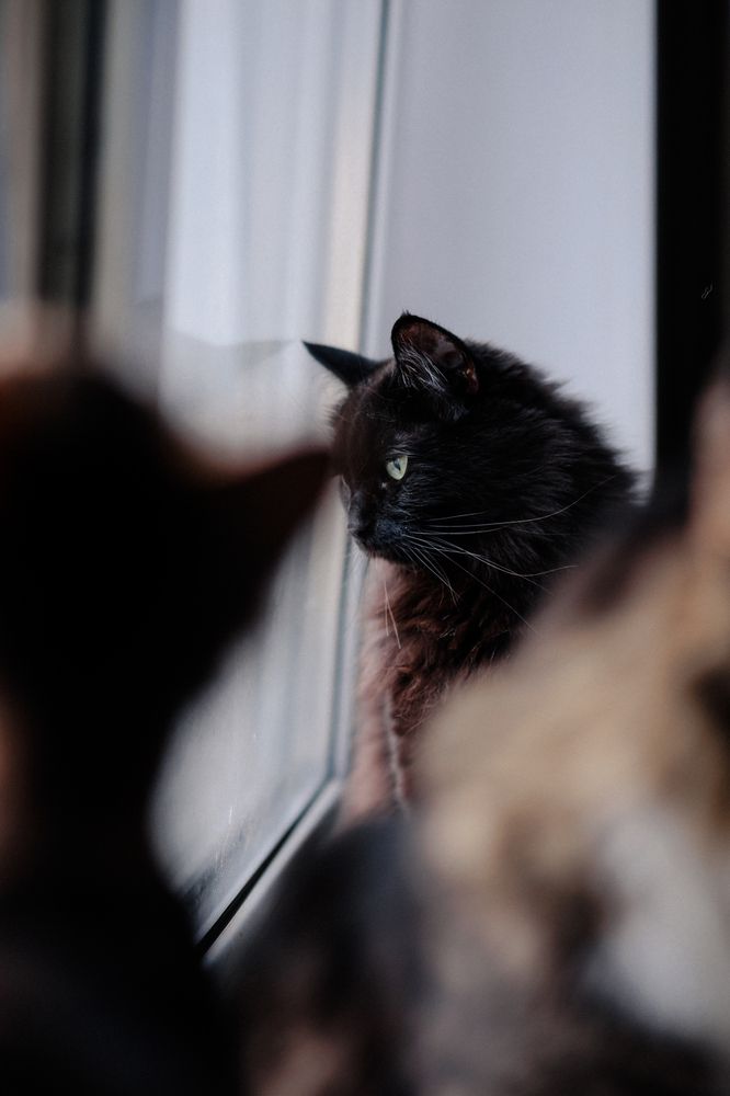 Photograph by Алёна Губинская