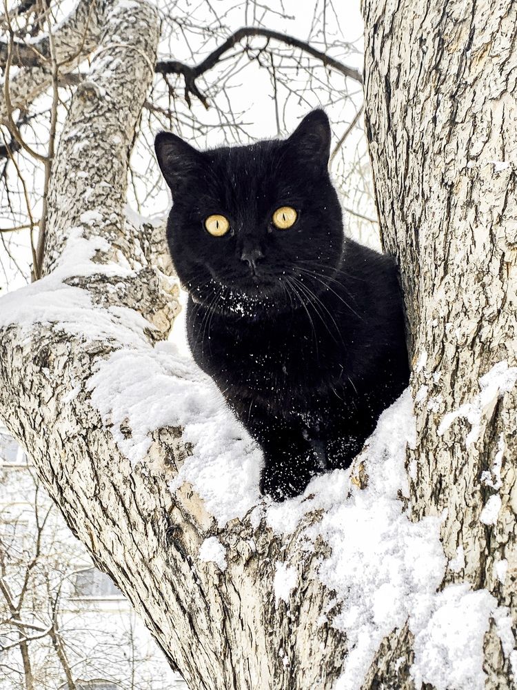 Photograph by Анна Потапова