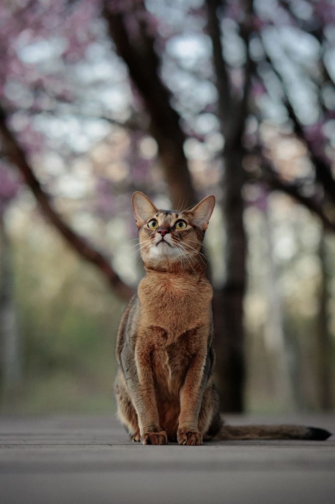 Photograph by Алёна Губинская