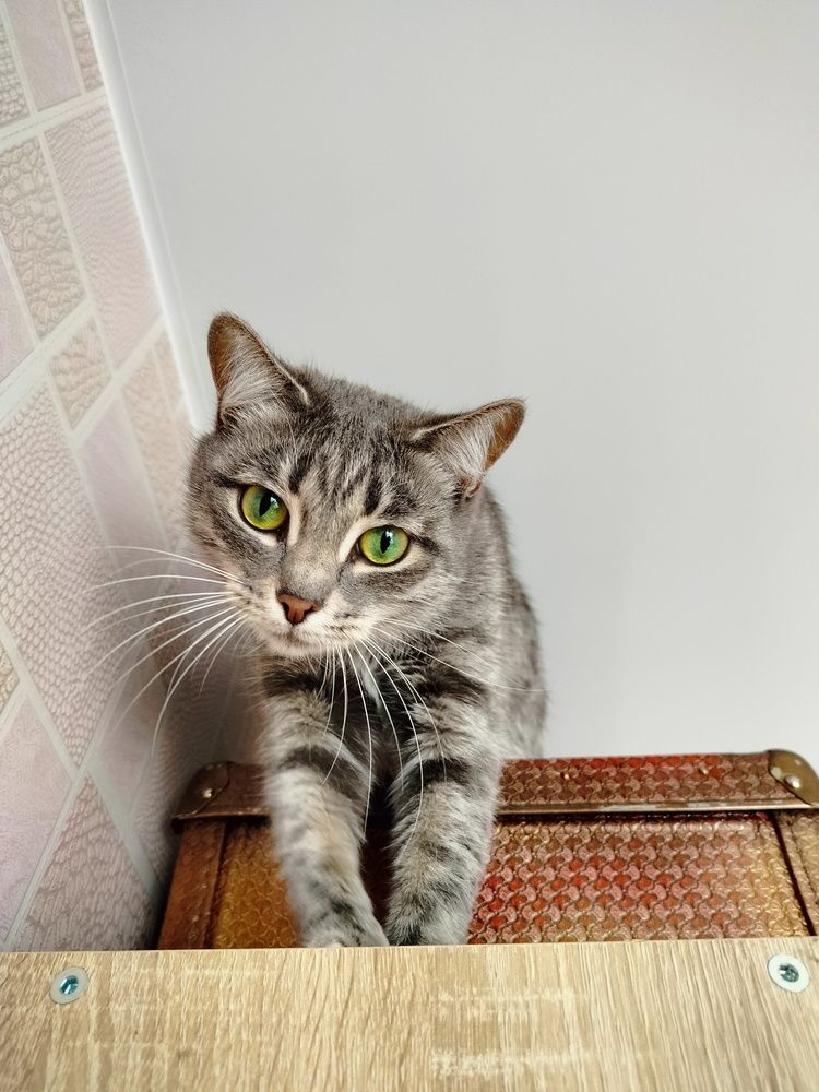 Photograph by Анастасия Горбачева