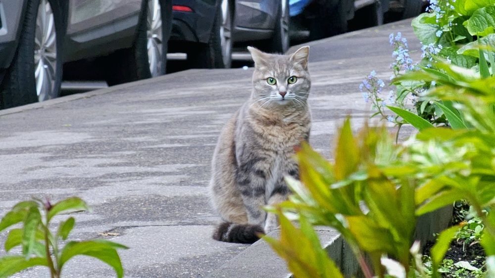 Фотография автора Мария Яковлева