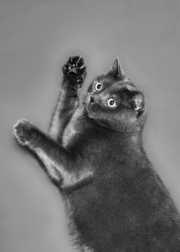 Photograph by Екатерина Ковалева