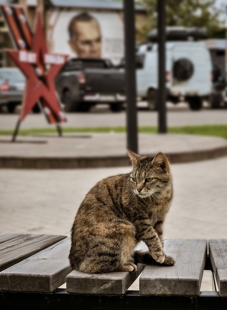 Photograph by Екатерина Ковалева