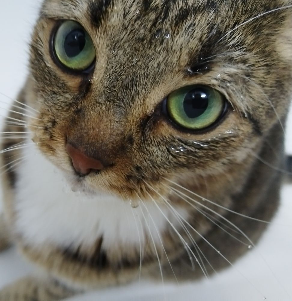 Photograph by Юлія Гацко