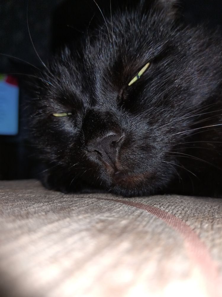 Photograph by Юлія Гацко