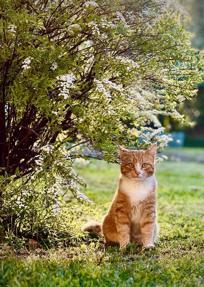 Photograph by Татьяна Михайловна