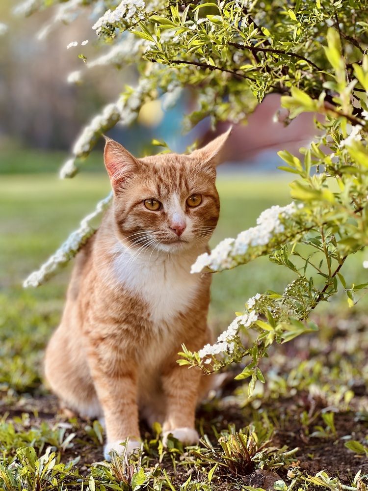 Photograph by Татьяна Михайловна