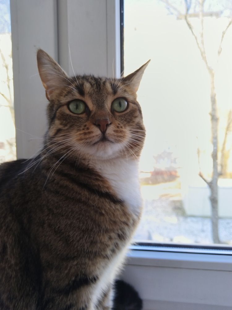 Photograph by Юлія Гацко