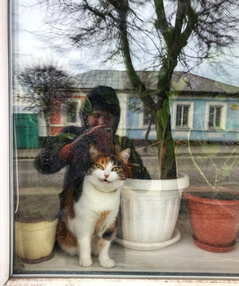 Вам здесь не рады