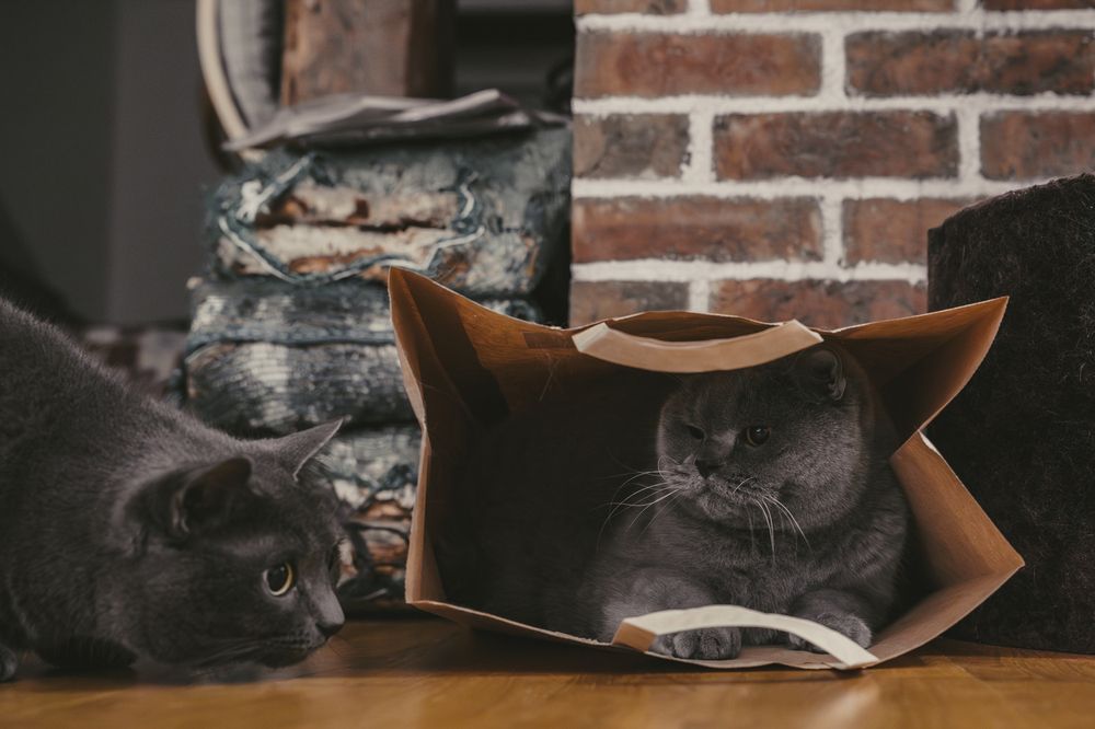 Photograph by Nikolay Surovtsev