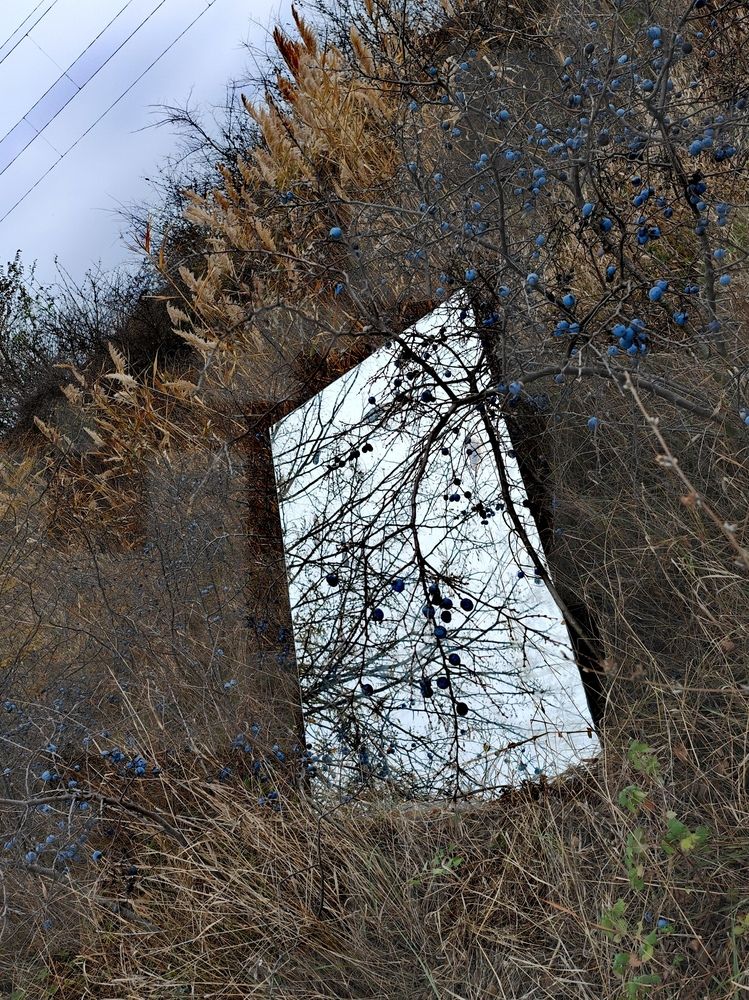 Фотография автора OXANA NAUMOVA