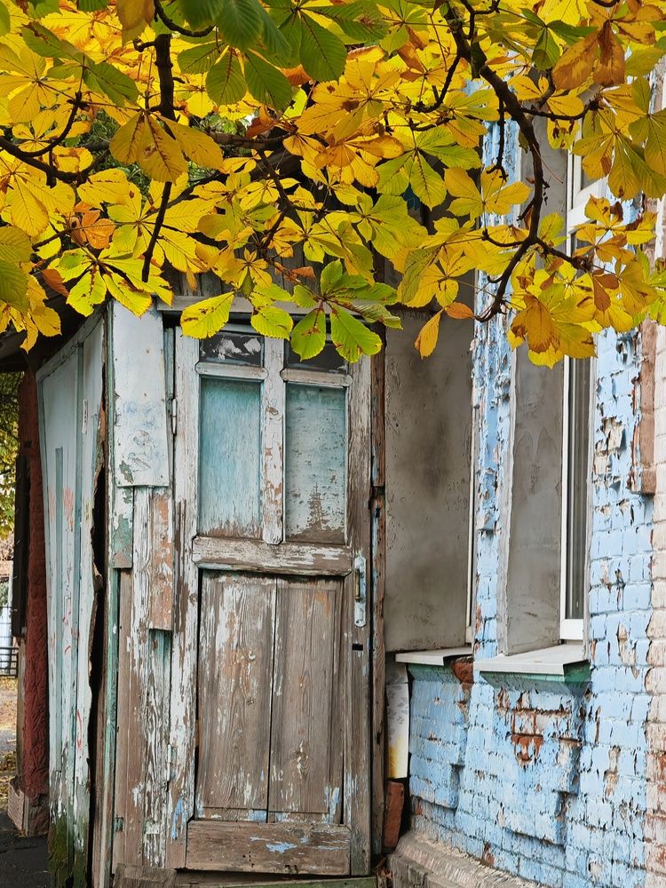 Фотография автора OXANA NAUMOVA