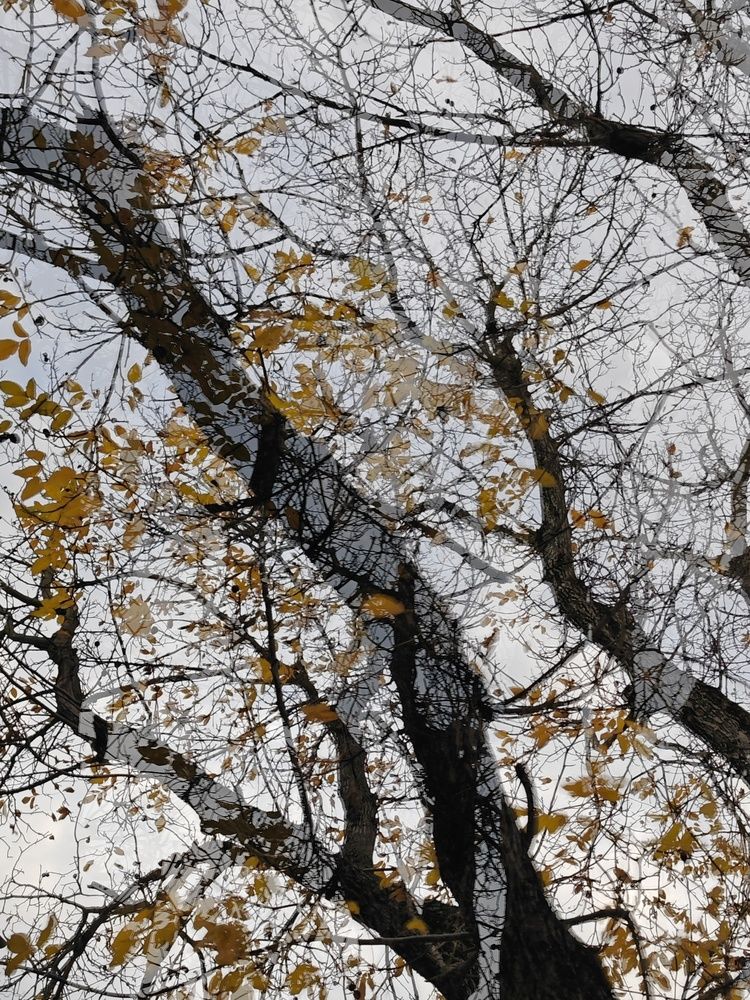 Фотография автора OXANA NAUMOVA