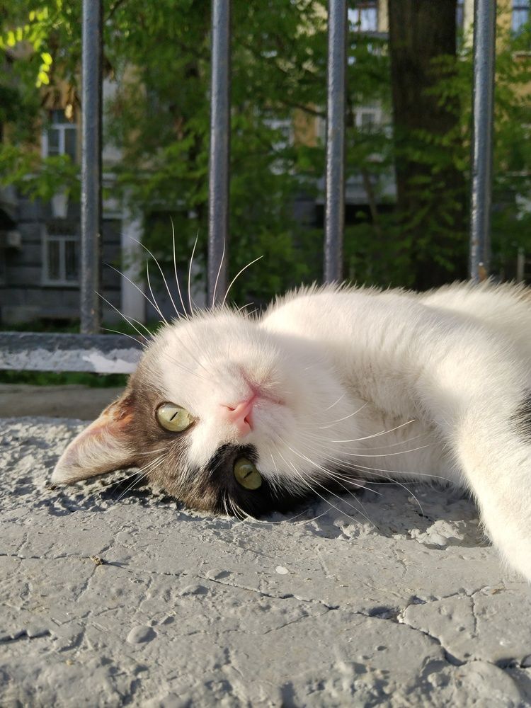 Photograph by Ольга Чернова