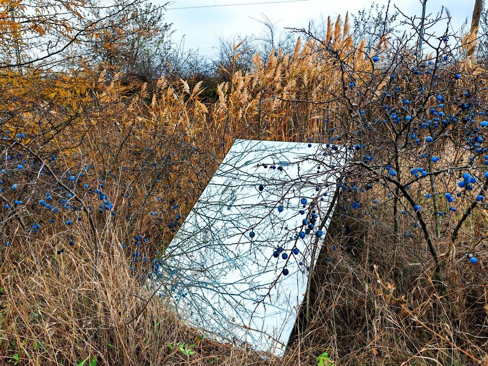 Фотография автора OXANA NAUMOVA